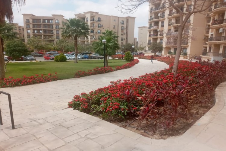 empty apartment for rent-al rehab city
