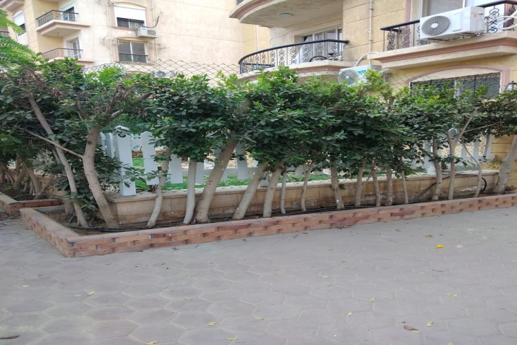 Apartment for sale in al rehab city 